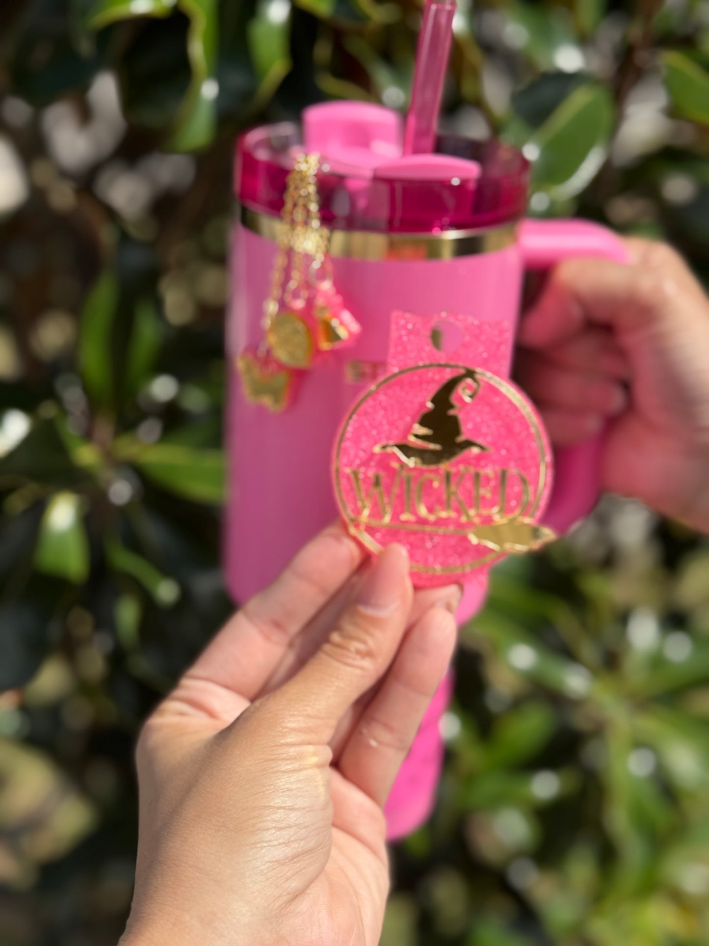 Wicked-Inspired Tumbler Accessory Set stanley inspired Topper and Charm set