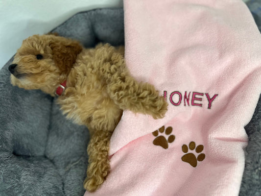 Paw print Microfiber Drying Towel Embroidered name with personalized towel monogrammed bath towel pet towel with names Dog towels dog gifts