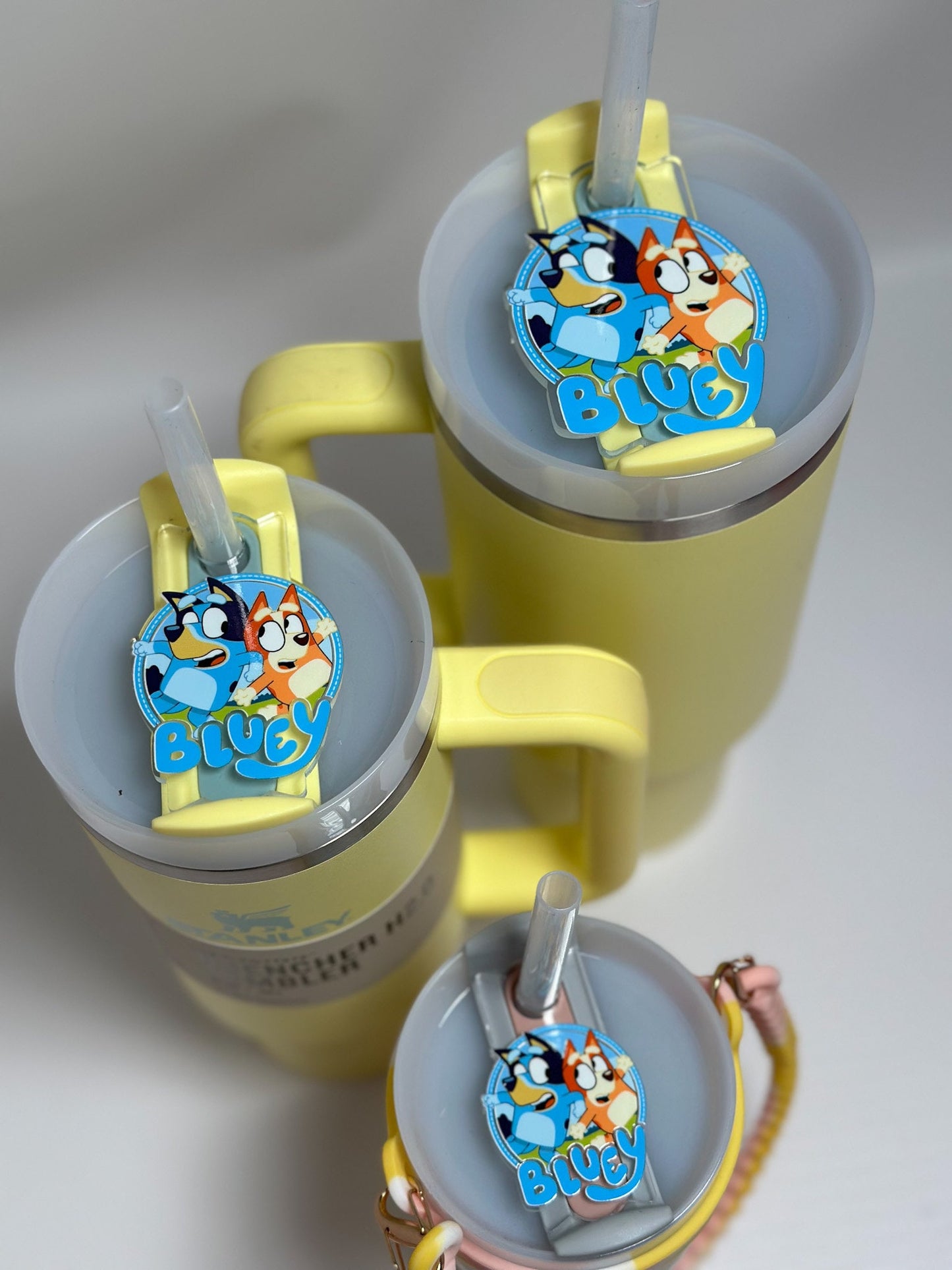 Blue Tumbler Name Plate Blue Dog Name Plate Personalized tumbler Bingo Tumbler Name Tag Tumbler Cup Accessories