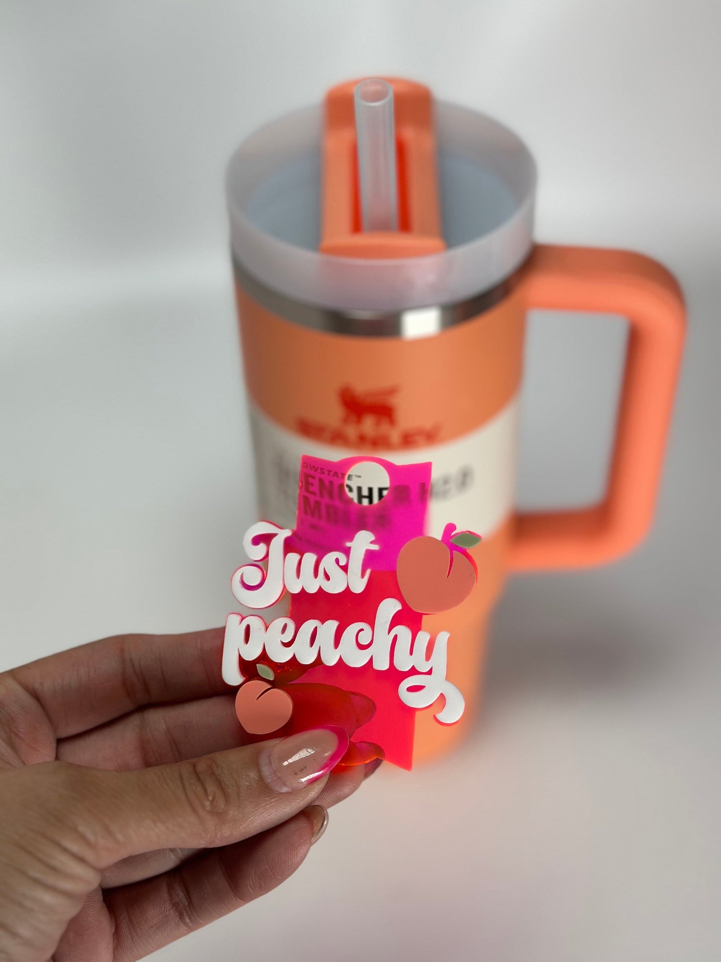 Just Peachy Tumbler Topper Peach Stanley Name Plate Name Plate Name Plate Stanley Lid Topper Custom Name Plate Nectarine tumbler name tag