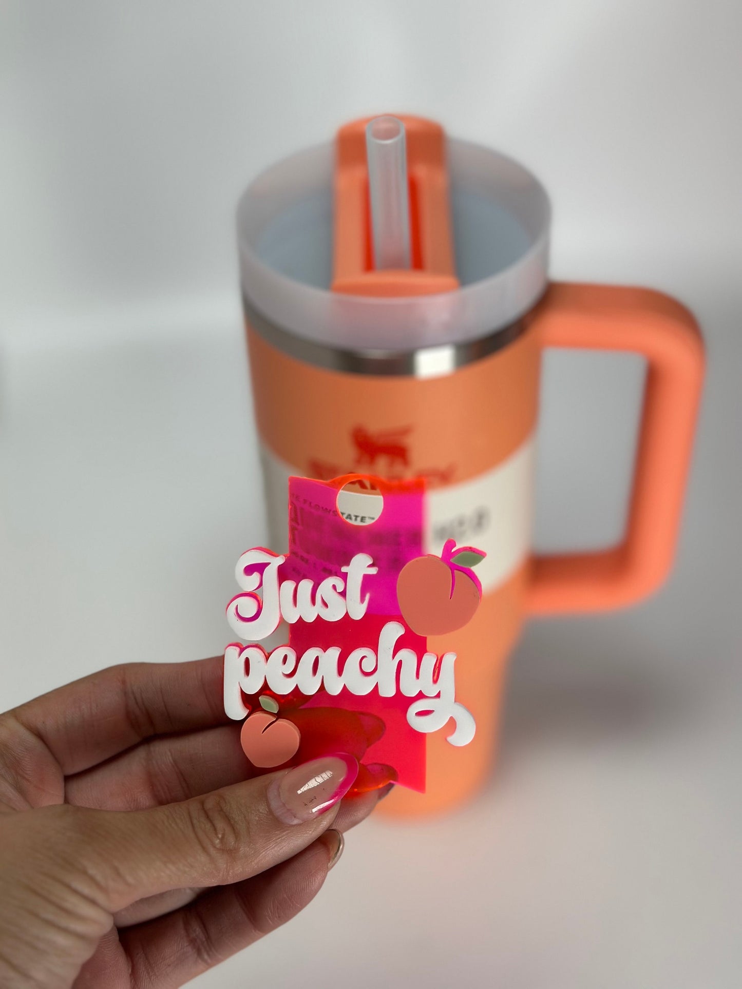 Just Peachy Tumbler Topper Peach Stanley Name Plate Name Plate Name Plate Stanley Lid Topper Custom Name Plate Nectarine tumbler name tag
