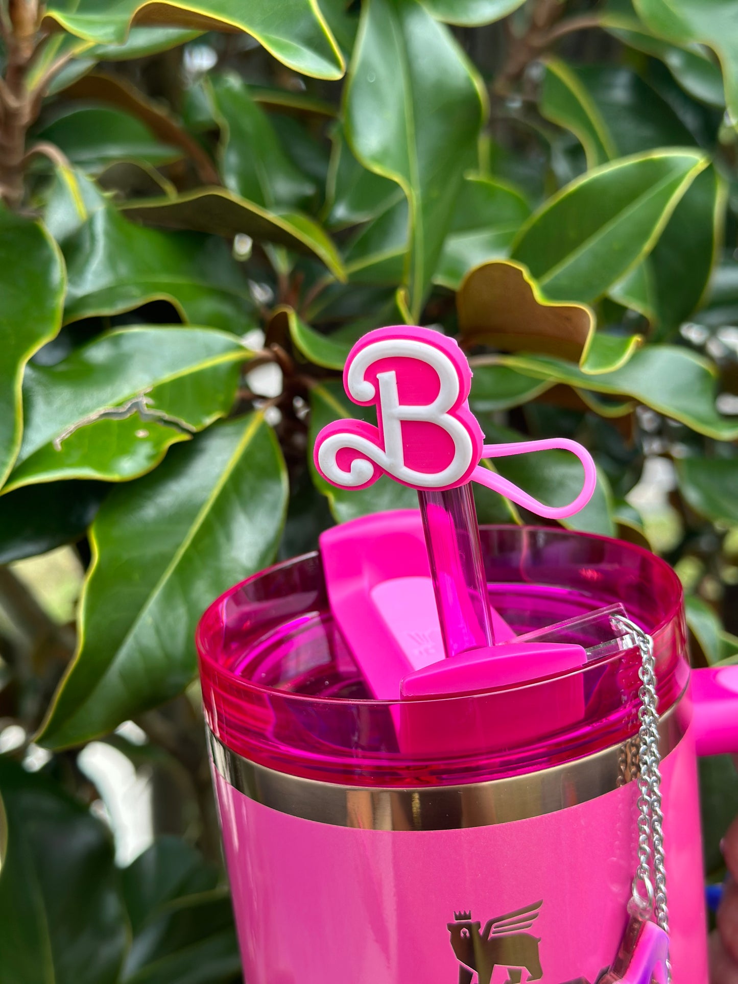 Come on Let's party Girly Personalized Tumbler  Girly Lid Name Plate Tumbler